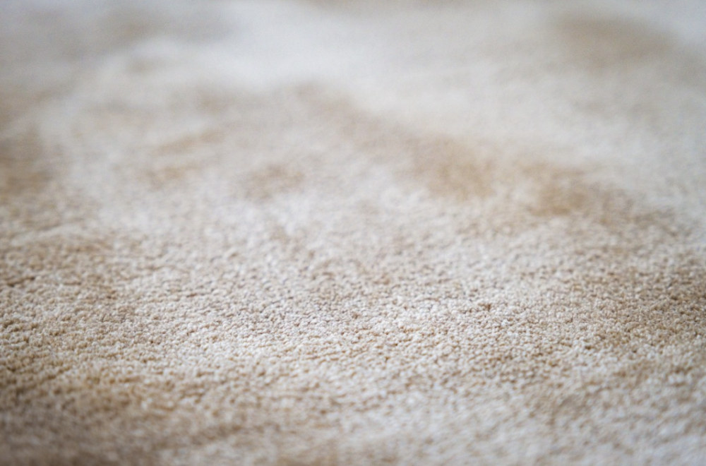 The Wool Studio, Caju