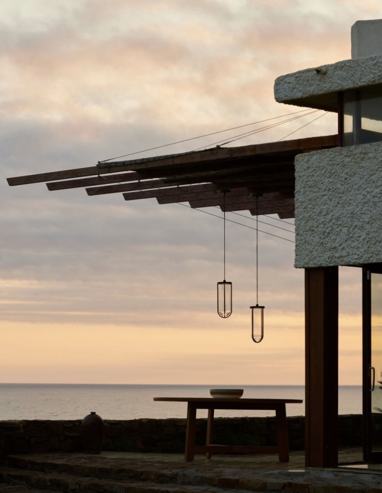 Flos In Vitro suspention