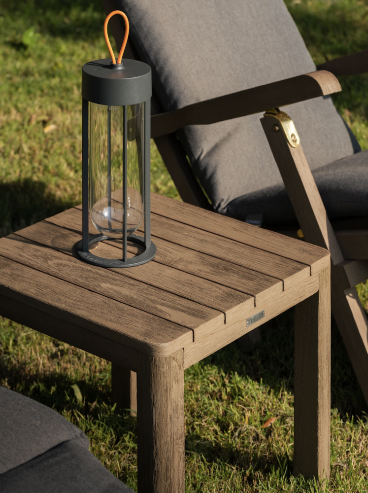 Flos In Vitro portable